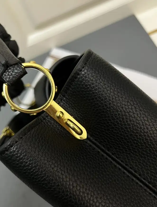 LV Capucines Bags 4224-2016