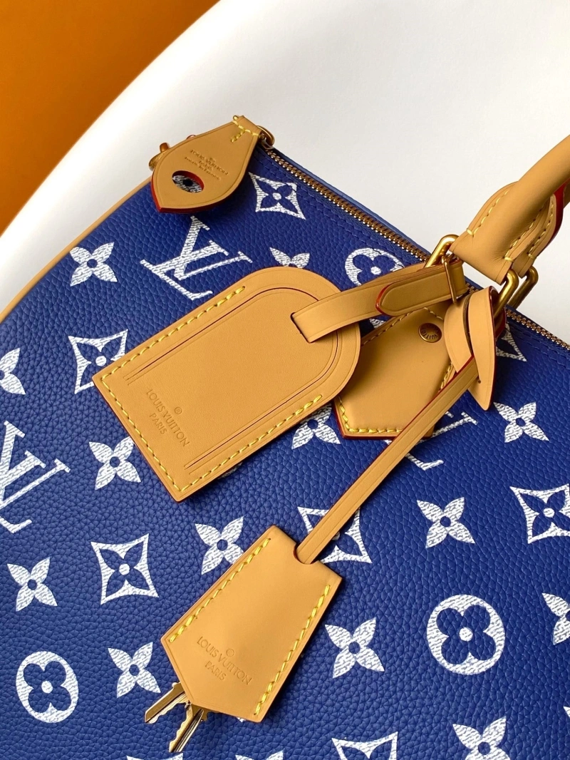 LV Travel Bags 4233A-0842