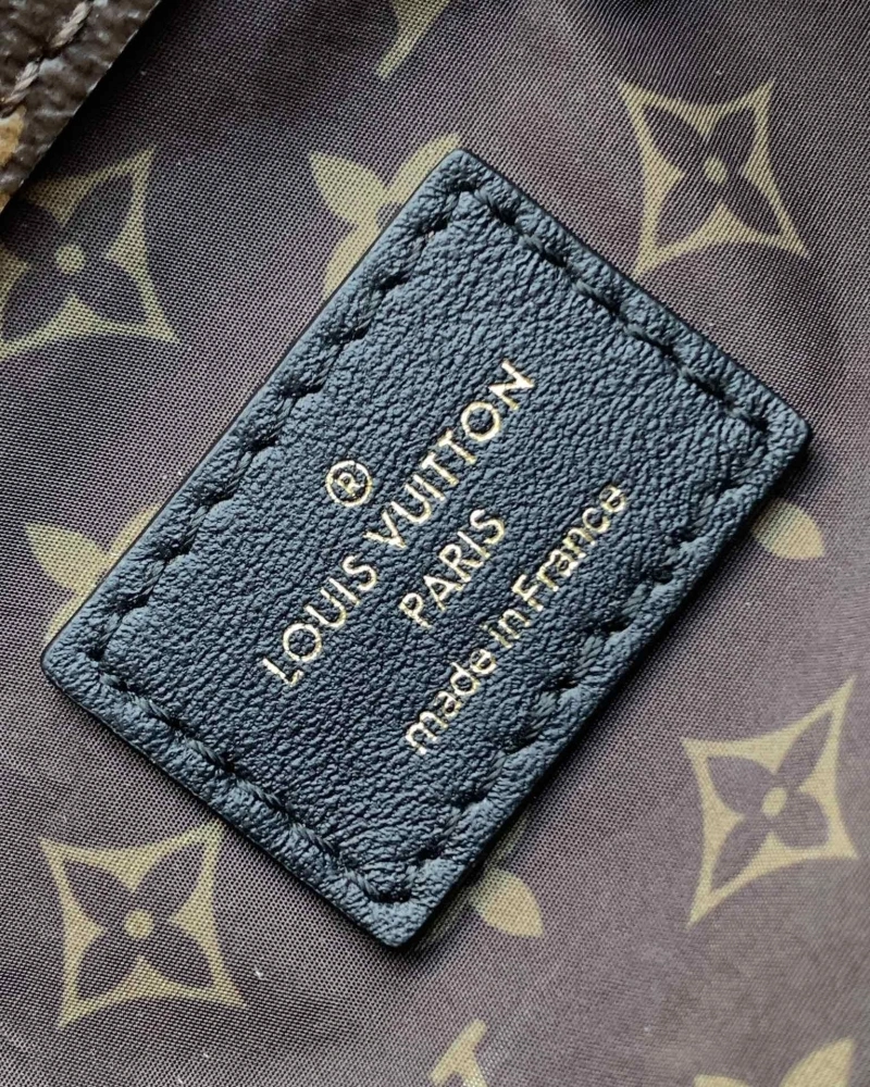 LV Backpacks 4233A-1510