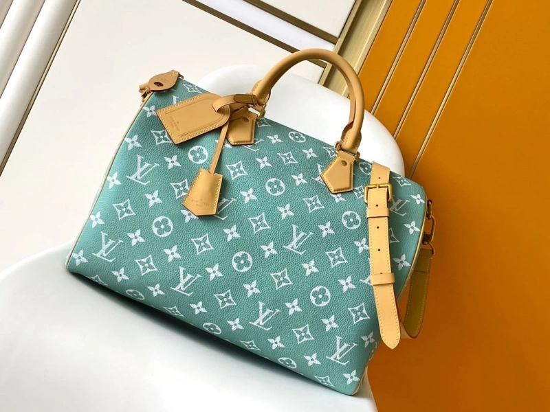 LV Travel Bags 4233A-1570