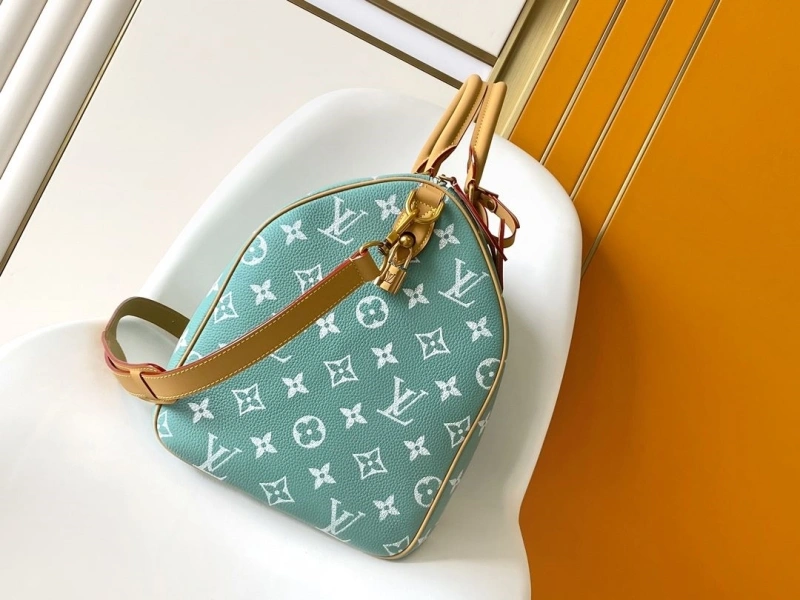 LV Travel Bags 4233A-1570