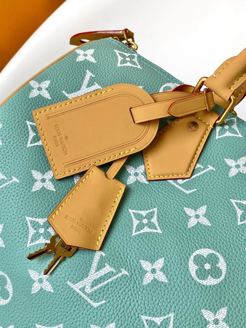 LV Travel Bags 4233A-1570