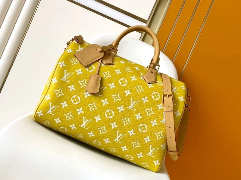 LV Travel Bags 4233A-1571