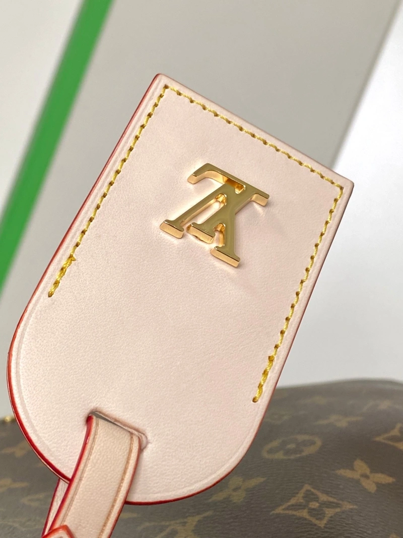 LV Shopping Bags 4233H-0423