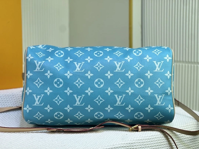 LV Travel Bags 4233H-1503