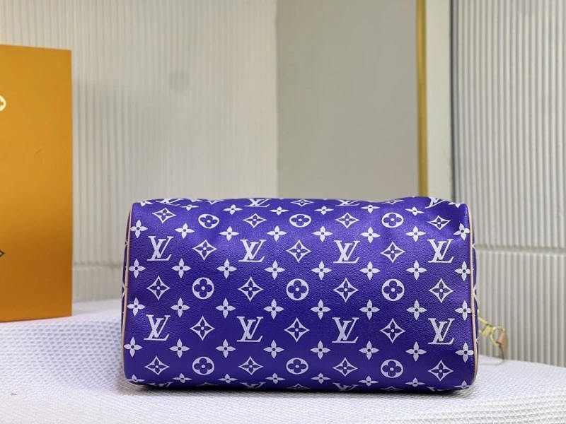 LV Travel Bags 4233H-1507