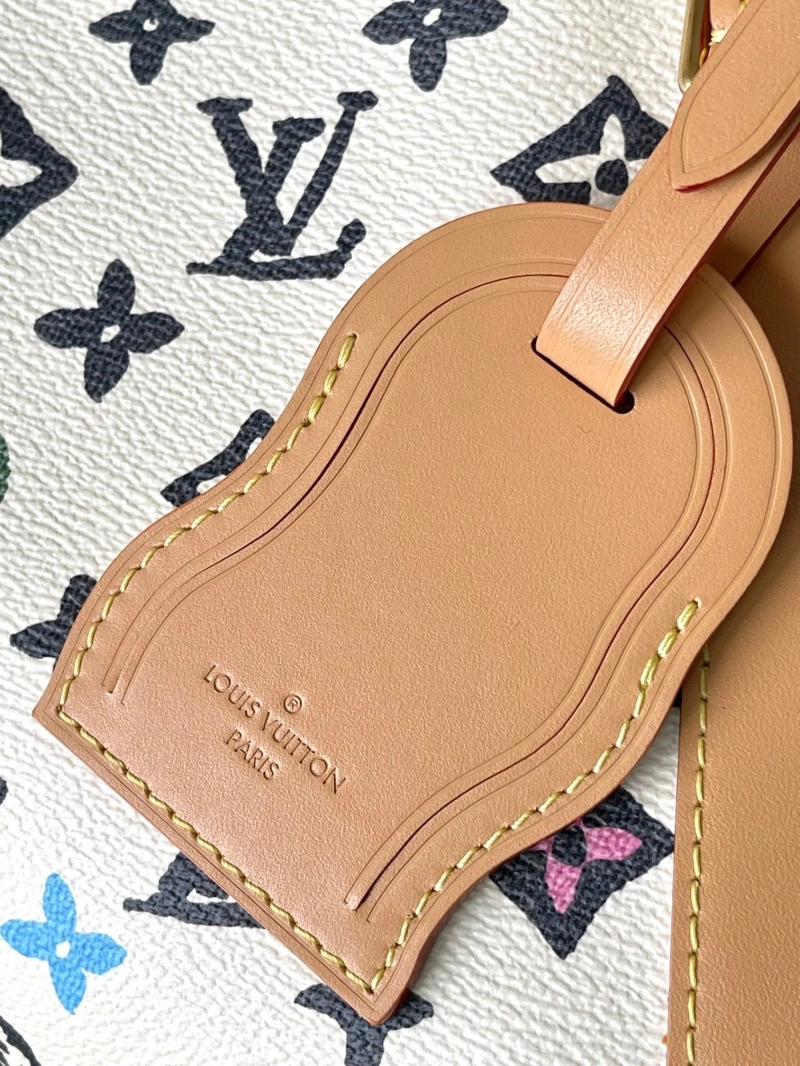 LV Travel Bags 4233H-1719