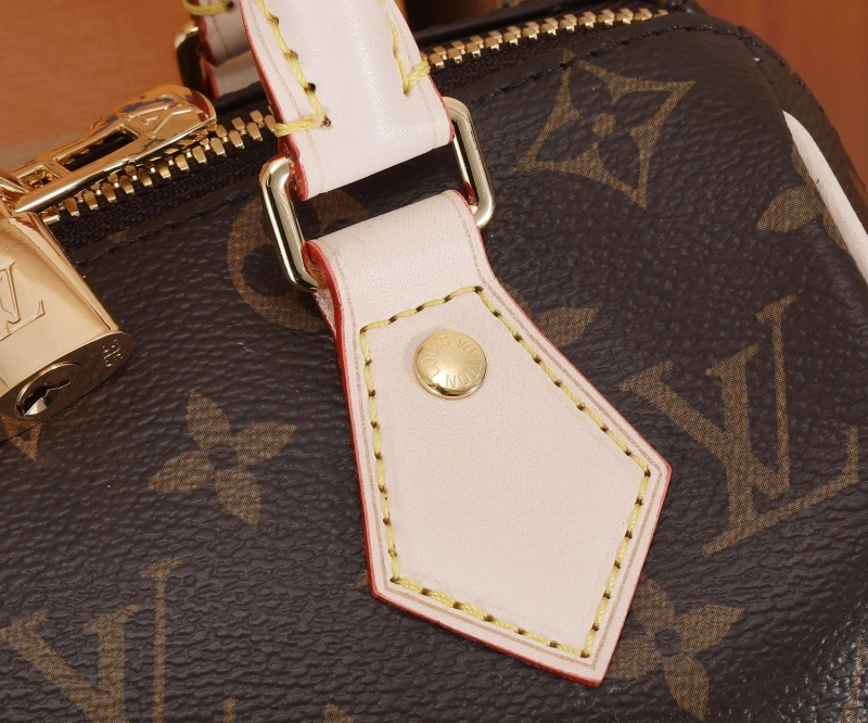 LV Speedy Bags 4233H-2180