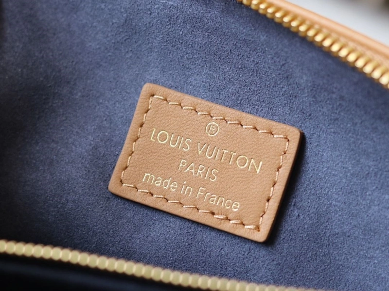 LV Satchel bags 4233H-2425