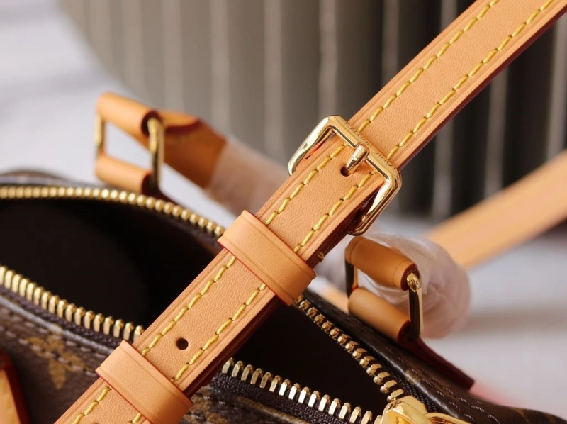 LV Speedy Bags 4233H-2439