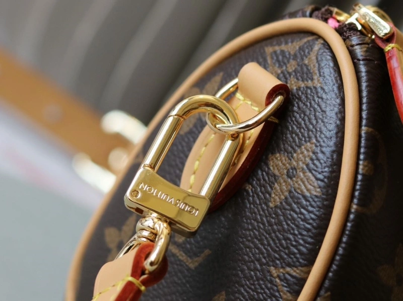 LV Speedy Bags 4233H-2463