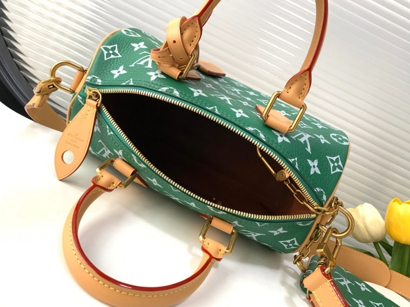 LV Speedy Bags 4233H-2567