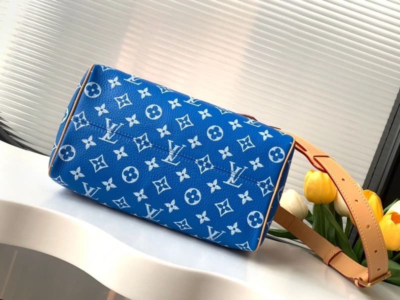 LV Speedy Bags 4233H-2568