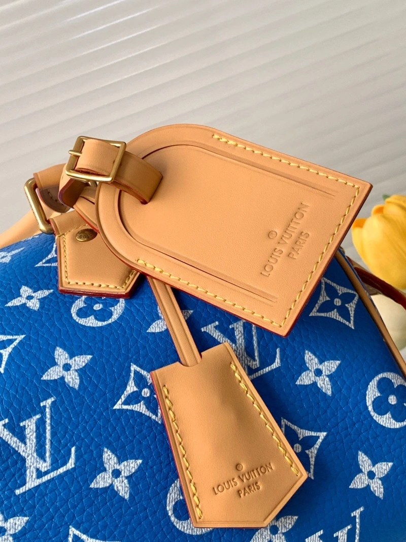 LV Speedy Bags 4233H-2568