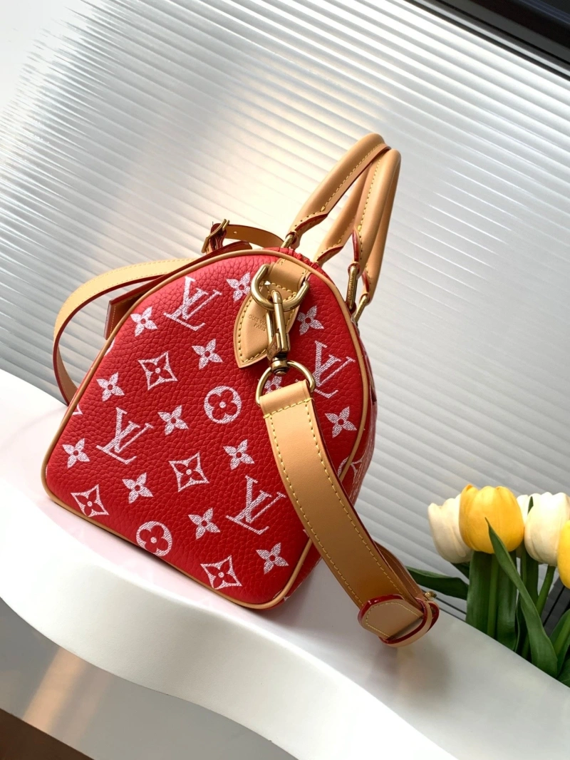 LV Speedy Bags 4233H-2569