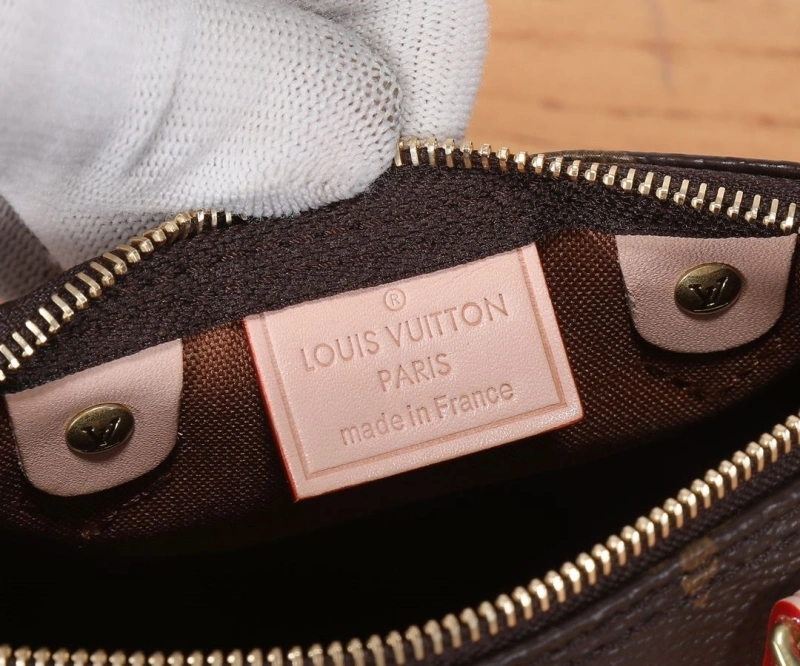 LV Speedy Bags 4233H-2580