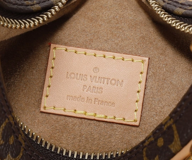 LV Satchel bags 4233H-2583