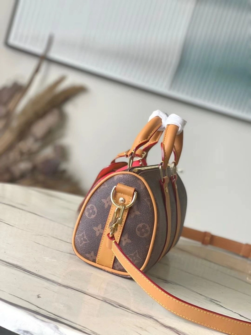 LV Speedy Bags 4286G-0242
