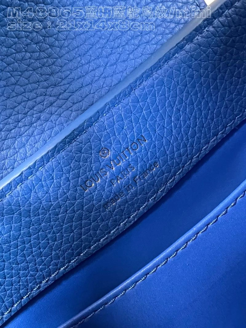 LV Capucines Bags 4365F-0178