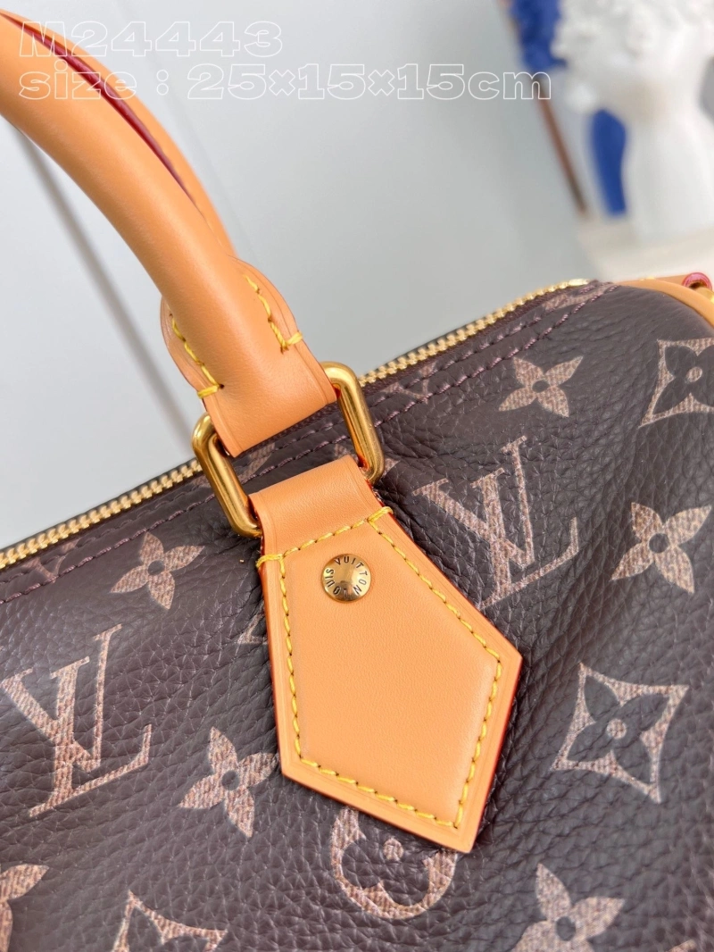 LV Speedy Bags 4365G-0041