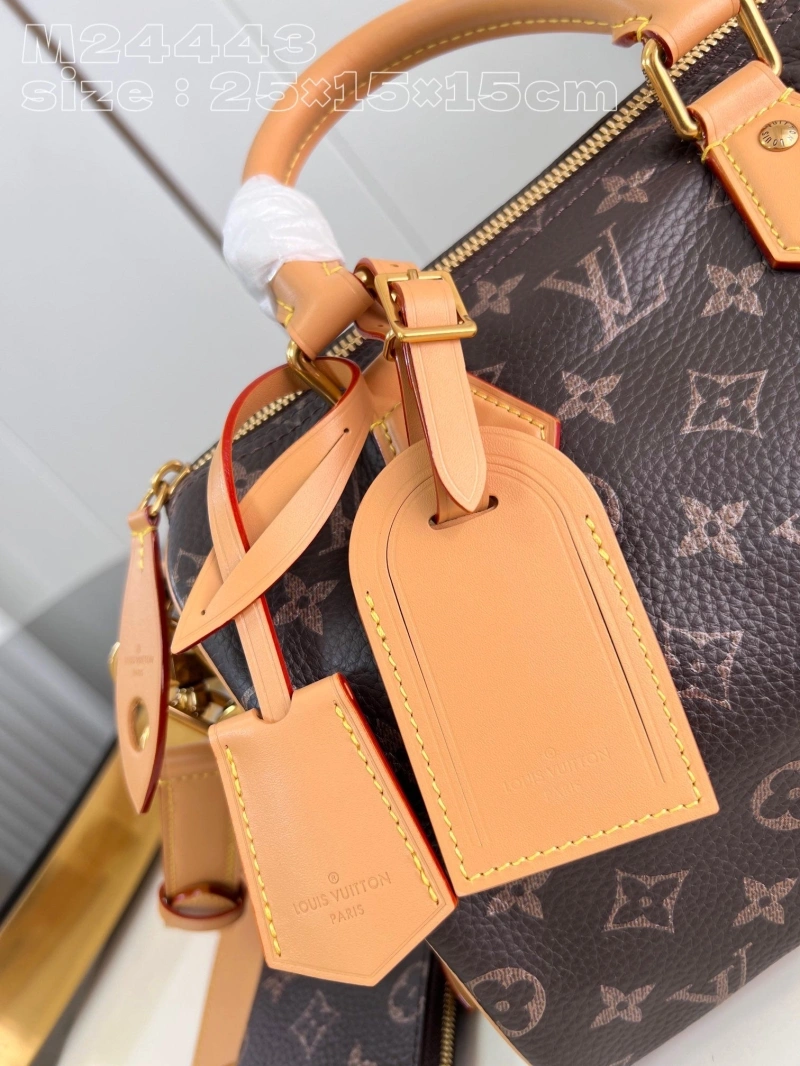 LV Speedy Bags 4365G-0041