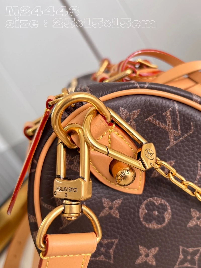 LV Speedy Bags 4365G-0041
