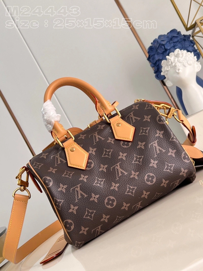 LV Speedy Bags 4365G-0041