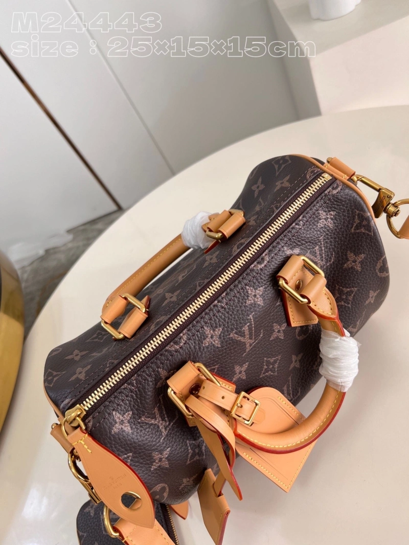LV Speedy Bags 4365G-0041