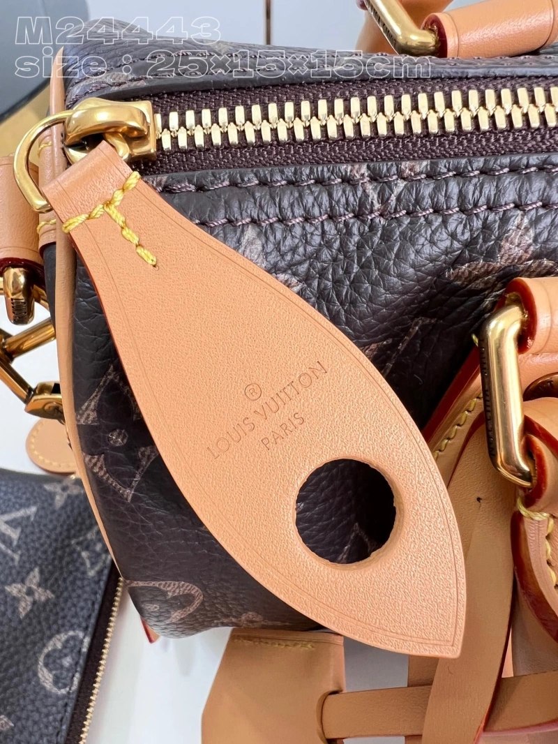 LV Speedy Bags 4365G-0041