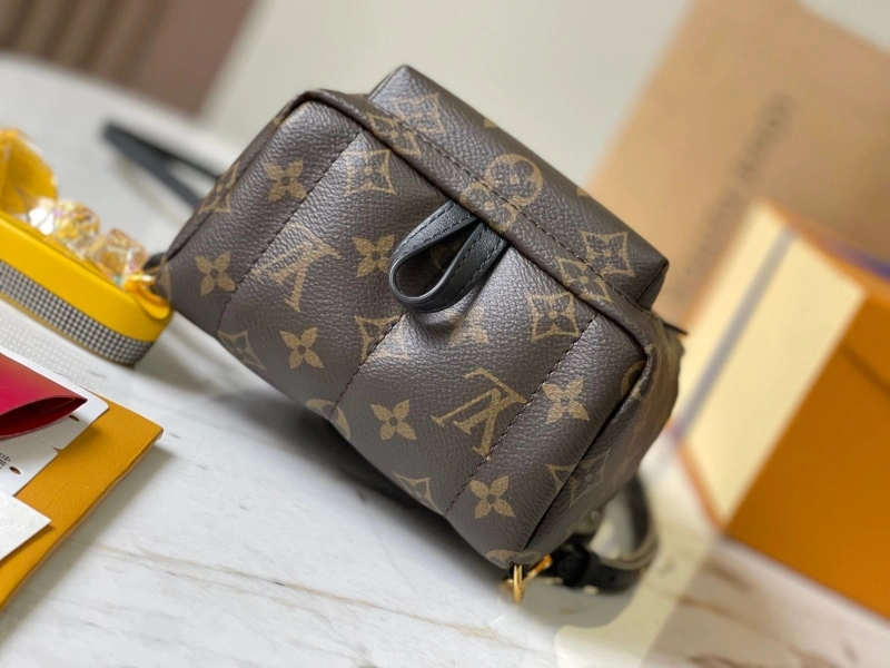 LV Backpacks 4365I-0109